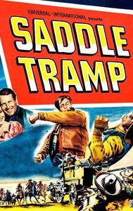 Saddle Tramp