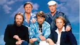 The Beach Boys Members: Then and Now