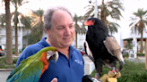 Final flight for the Birdman: Memories of the Tropicana