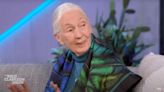 Jane Goodall Remembers Tarzan Making Her Fall in Love With Wildlife: ‘I Was Very Jealous — He Married the Wrong Jane’ (Video)