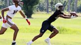 Summer Brawl: Panthers host jam-packed 7-on-7 football tournament