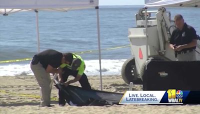 Hidden dangers at the beach: sand holes