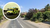 Person taken to hospital after A12 blocked by crash