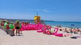 Invasión de ‘flamencos’ en Playa de Palma