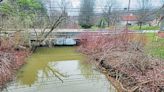 Murrysville mulls options to fix weight-reduced bridge on Old William Penn Highway