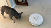 Narwal Freo X Ultra robot vacuum review: almost great but with one big flaw