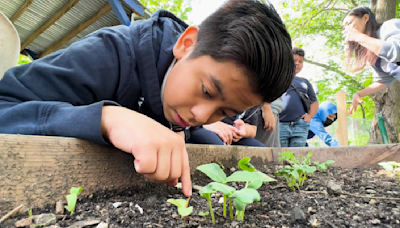 This community garden in the Bronx is a beloved neighborhood landmark. A new development could cast a shadow over it.