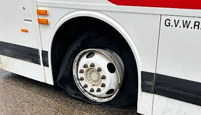 Alberta driver lauded for keeping young baseball team safe when their bus was struck by lightning