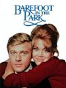 Barefoot in the Park (film)