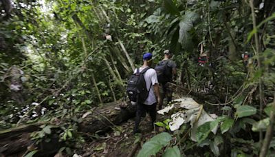 Migración por el Darién cae un 31% en 2024, según Panamá - El Diario NY