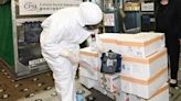 港府抽查日本進口水產樣本 輻射水平暫無發現超標