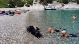 Secret European island with swimming pigs that can only be reached by boat