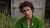 Timothée Chalamet on Making Cannibalism Movie as Armie Hammer Faced Controversy: 'What Were the Chances?'