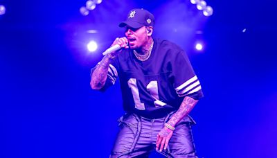 Chris Brown Gets Stuck in Midair During New Jersey Show as Singer Is Eventually Rescued by Ladder