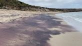 Ancient Antarctic Mountains Unearthed By Pink Sands In Australia