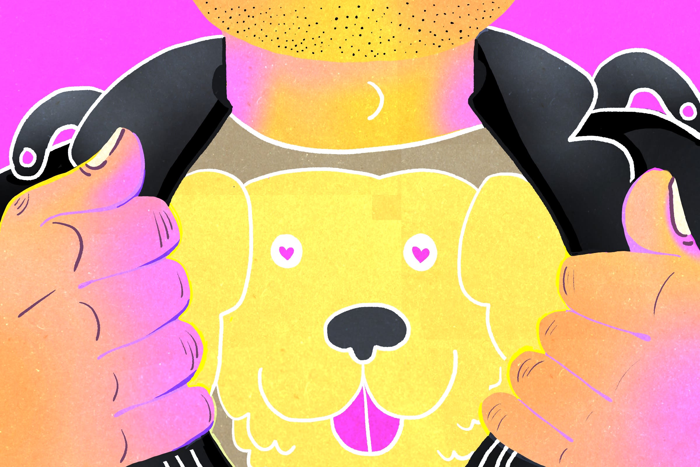 What Golden Retriever Boyfriends Tell Us About Masculinity