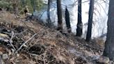 Wildfire near South Lake Tahoe’s Fallen Leaf Lake mopped up on Saturday