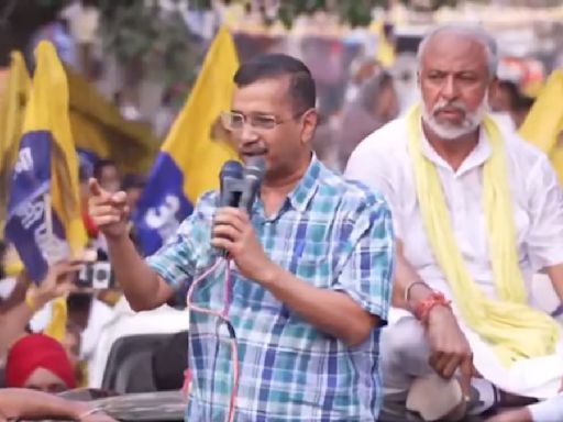 Haryana Assembly Elections 2024: Arvind Kejriwal Accuses BJP Of Conspiracy To Break Him, Vows Free Electricity For State; VIDEO