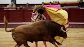 Congreso prohíbe corridas de toros en Colombia: aprobado cuarto y último debate