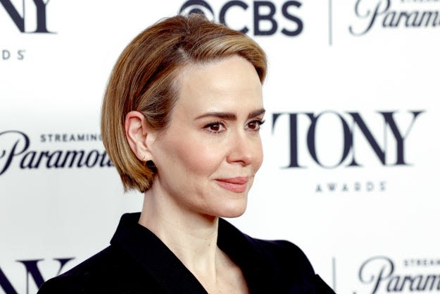 Sarah Paulson Called Out A Fellow Actor Who Once Emailed Her Six Pages Of Notes After Watching Her In A Play