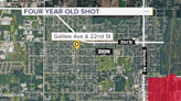 Child, 4, injured in north suburban shooting, Zion police say