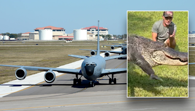 Alligator roams around Florida Air Force base, sparking amusement