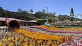 Colorida feria de flores y café en Panamá cumple 50 años de historia