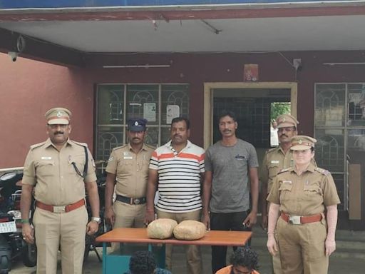 Two held for possession of ganja in Tirupattur