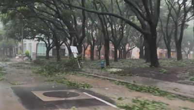 Tragedia en el condado Harris: muere un hombre durante el paso del huracán Beryl