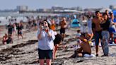 Seaweed all over Satellite, Cocoa Beach: What Brevard beaches look like in summer 2023 & what to do