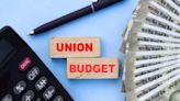 Budget 2024 struck a fine balance, tax changes to spur consumption: Economists - ET BFSI