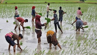 Spatial spread of monsoon needs to correct for food inflation to cool, say economists