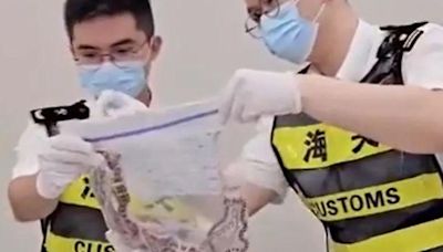 Man caught smuggling 100 live snakes in his pants, Chinese officials say