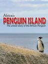 Africa's Penguin Island