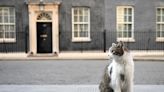 Larry the Cat will stay at Number 10 as Keir Starmer takes over