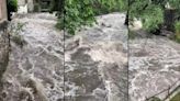 Las impactantes imágenes del río Apatlaco a punto del desborde en Morelos por el paso del ciclón Chris