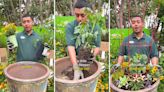 Gardening expert explains how to extend your tomato harvest to the end of the year: ‘Productive and beautiful’