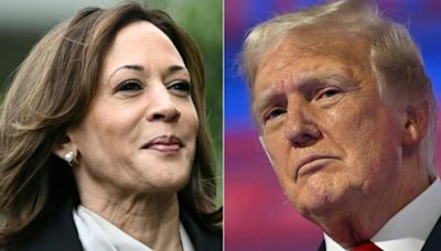 Pesquisas mostram queda na vantagem de Kamala Harris sobre Donald Trump