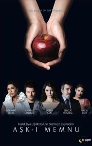 Aşk-ı Memnu (2008 TV series)