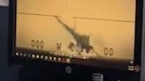 Pilot Error During a Fast Maneuver Blamed for F-35C Crash Aboard Carrier