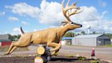 The Jordan Buck, shot in 1914 in Danbury and recognized as the world record typical whitetail until 1993, honored with a new statue