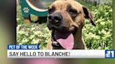 Pet of the Week: Meet Blanche!