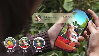 Bird Buddy’s new AI feature lets people name and identify individual birds | TechCrunch