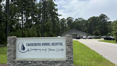 'We really need help': Nationwide vet shortage evident in Onslow County