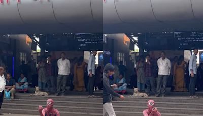 Watch: Influencer Dresses Up As Spider-Man, Begs At Maharashtra's Kalyan Station - News18