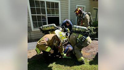 Dramatic rescue: Peachtree City firefighters pull 140-pound dog to safety