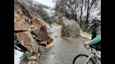 Planning a trip to Giant Sequoias, wildflowers? Here’s when damaged park roads will open