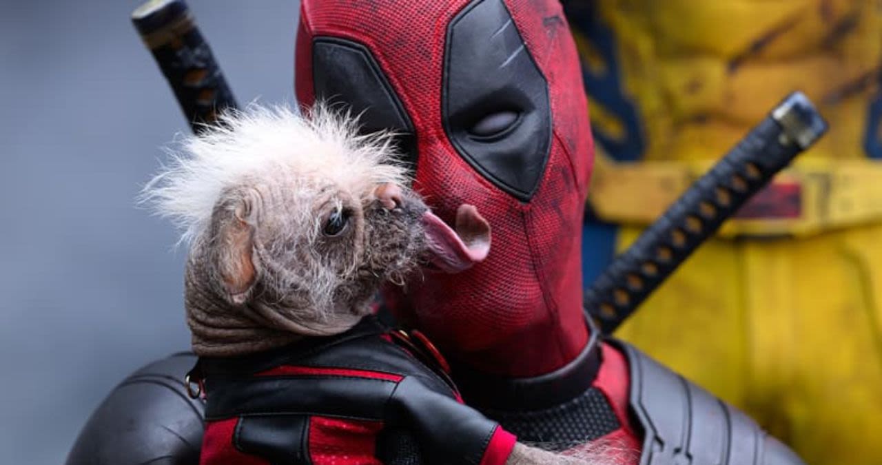 ‘Deadpool & Wolverine’: Ryan Reynolds shares blooper with canine star Dogpool and it’s all things hilarious