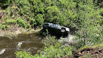 Hero Dog Runs 4 Miles to Get Help for Owner After Oregon Car Crash