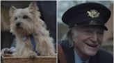 Pet lovers reduced to tears by Lewis Capaldi’s new music video: ‘Never sobbed so much’